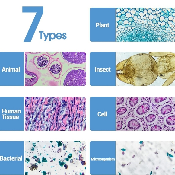 120pc MICROSCOPE Slide set with Specimens-  New in package - Picture 4 of 6